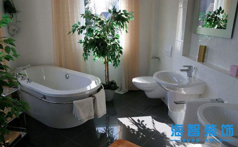 植物1.jpg